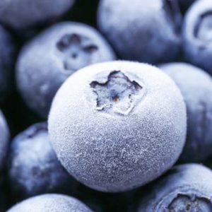 Frozen Blueberry – 10Kg