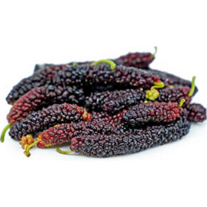 Fresh Red Mulberry – 250g