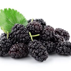 Fresh Black Mulberry – 150g