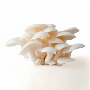 Fresh White Oyster Mushroom – 200g