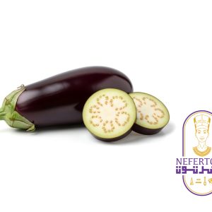 Aubergines – 1 Kg – باذنجان رومي