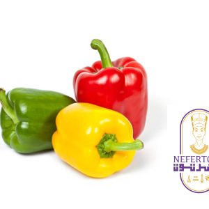 Bell Pepper – 1 Kg – فلفل ألوان